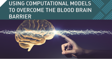 Использование компьютерного моделирования для прохождения гематоэнцефалического барьера